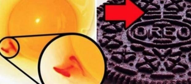 10 curiosidades sobre a comida que você vai gostar de saber 10 curiosidades sobre a comida que você vai gostar de saber
