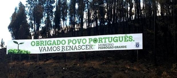 Incêndio matou 64 pessoas e fez mais de 200 feridos no Pinhal Interior Incêndio matou 64 pessoas e fez mais de 200 feridos no Pinhal Interior