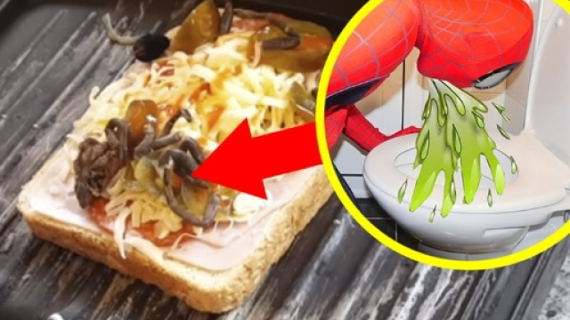 Tarantola morta nel toast: uno scherzo di pessimo gusto