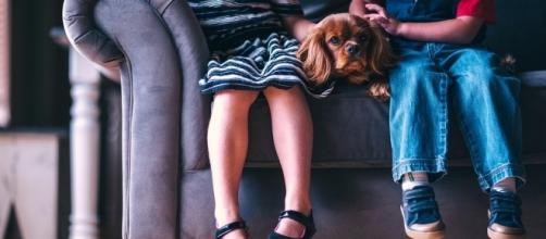 Dogs and kids, a good fit? Photo via Pixabay by Pexels / CC0