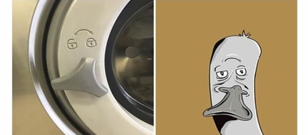 Ilustrador transforma pareidolia em desenhos Ilustrador transforma pareidolia em desenhos