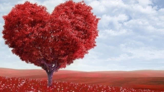 Oroscopo del giorno | previsioni di sabato 17 giugno 2017 per gli ultimi sei segni dello zodiaco