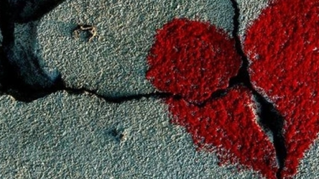 Quando una delusione d'amore può essere superata con la tecnologia
