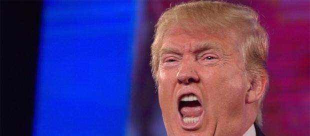 Donald Trump [Insert Ridiculous Thing He Hopefully Hasn't Already ... - robotbutt.com Donald Trump [Insert Ridiculous Thing He Hopefully Hasn't Already ... - robotbutt.com