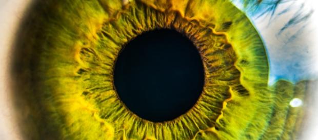 Floaters hide inside your eye and are not visible from the outside - image sourced from Pexels.com Floaters hide inside your eye and are not visible from the outside - image sourced from Pexels.com