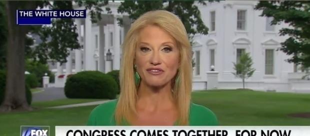 Kellyanne Conway on Fox News, via Twitter Kellyanne Conway on Fox News, via Twitter