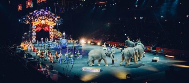 Photo circus via Pixabay by unsplash / CC0 Photo circus via Pixabay by unsplash / CC0