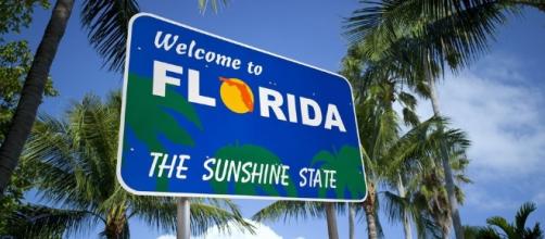 Florida Alcohol Laws (Sales, Driving, Transportation) - tripsavvy.com via cc pexel