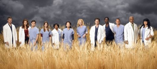 Cast of ABC's medical drama "Grey's Anatomy"