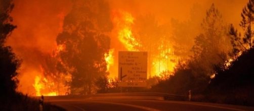 Terribile incendio in Portogallo: 58 morti e 59 feriti - inmeteo.net