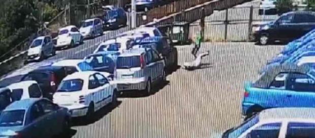 Tassista aggredito ad Acireale: fermato un russo Tassista aggredito ad Acireale: fermato un russo