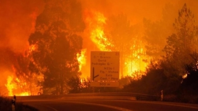 Terribile incendio in Portogallo: 58 morti e 59 feriti - inmeteo.net