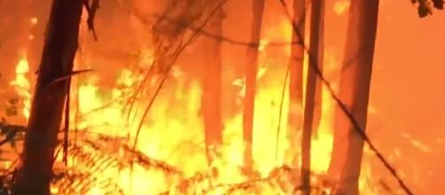 Incendio en Portugal deja al menos 62 muertos