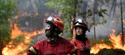 Gli incendi in Portogallo hanno provocato 62 vittime