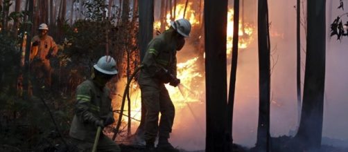 Tragedia in Portogallo. L'incendio uccide 62 persone.