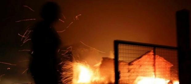 Este ha sido el incendio forestal más devastador de los últimos años en Portugal. Este ha sido el incendio forestal más devastador de los últimos años en Portugal.
