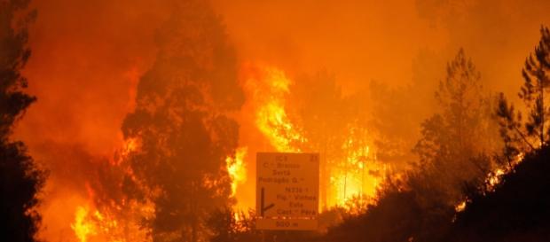 Incêndio de Pedrógão Grande faz 62 mortos Incêndio de Pedrógão Grande faz 62 mortos
