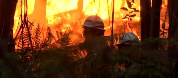 Photo Portugal forest fire screen capture from YouTube video / RT News Photo Portugal forest fire screen capture from YouTube video / RT News