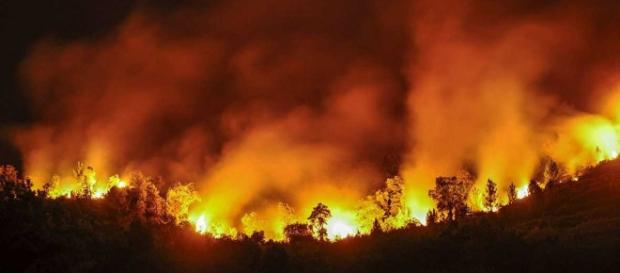 Pocos activos en el incendio de Portugal Pocos activos en el incendio de Portugal
