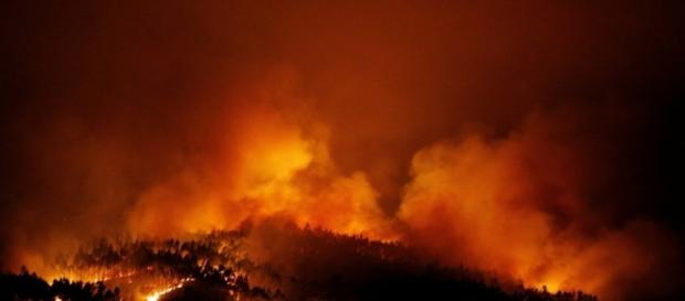 Raging forest fires kill 62 in Portugal - thenational.ae Raging forest fires kill 62 in Portugal - thenational.ae
