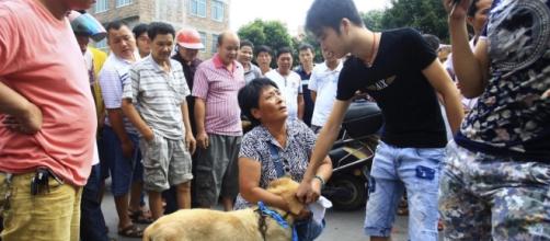 China's Dog Meat Festivals Slowly Losing Popularity - voanews.com