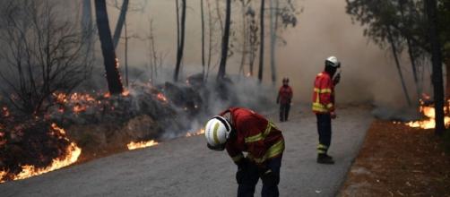 La rápida propagación del fuego sembró el terror en Portugal