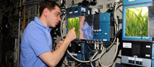 Veggie Activated to Grow Fresh Plants on Space Station | NASA - nasa.gov