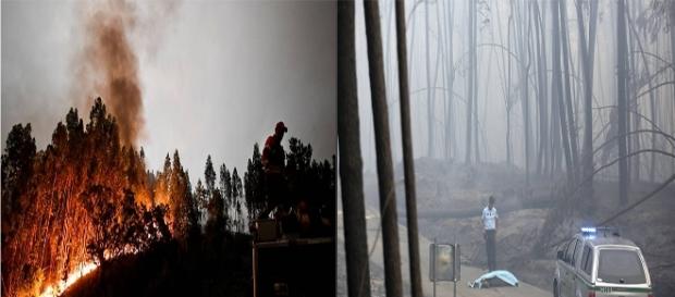 Bombeiros combatem fogo em incêndio de grandes proporções em Portugal Bombeiros combatem fogo em incêndio de grandes proporções em Portugal