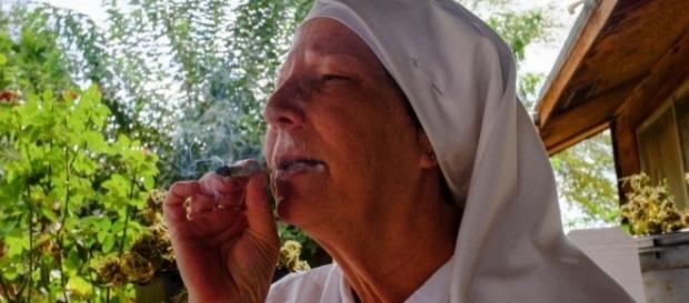 Freiras que plantam e fumam maconha Freiras que plantam e fumam maconha