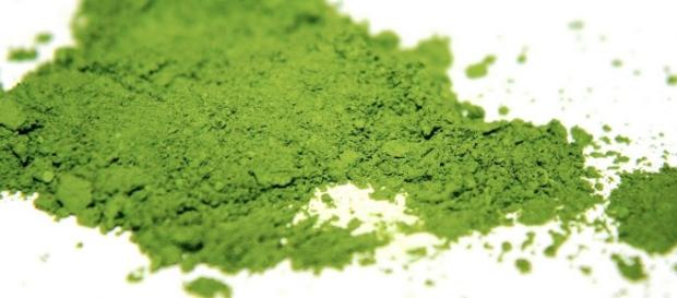 Matcha's many health benefits. - wikimedia.org Matcha's many health benefits. - wikimedia.org