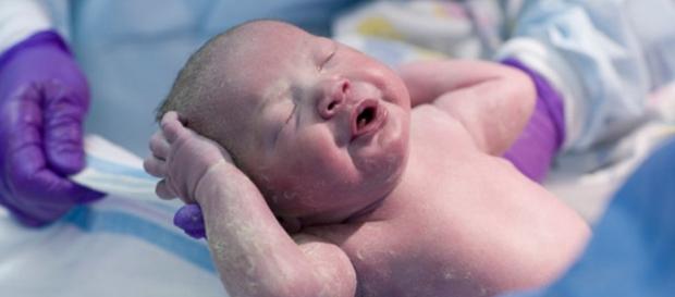 Moms: Should You Eat Your Placenta? | Wellness | US News - usnews.com Moms: Should You Eat Your Placenta? | Wellness | US News - usnews.com