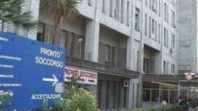 Napoli, zanzare all'ospedale San Giovanni Bosco