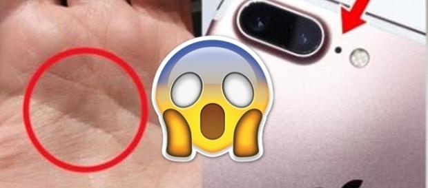 5 coisas que usamos e que não sabemos para que servem 5 coisas que usamos e que não sabemos para que servem