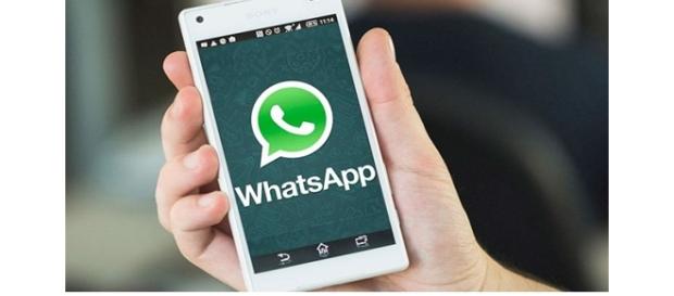 Como é o grupo de WhatsApp da família Como é o grupo de WhatsApp da família