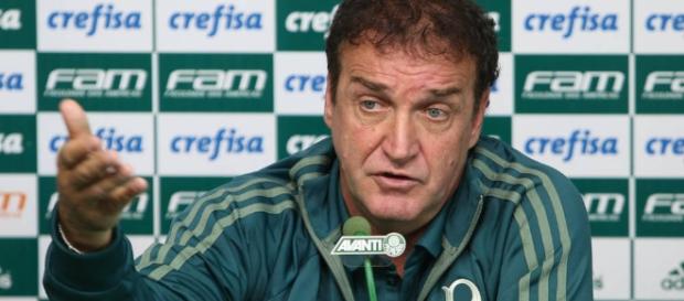 Técnico do Palmeiras pediu um atacante Técnico do Palmeiras pediu um atacante
