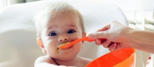 Baby food samples contained 20 percent lead according to a new study.