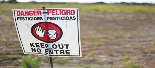 Los pesticidas contienen disruptores endocrinos que afectan a toda la cadena alimenticia
