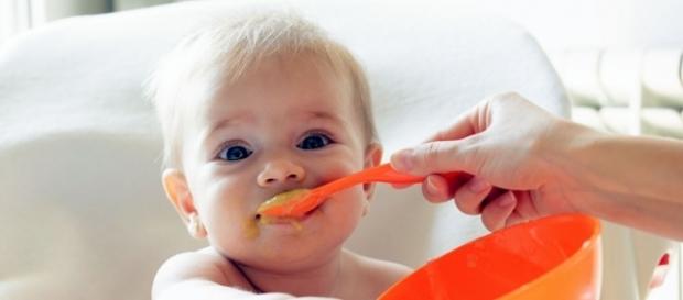 Baby food samples contained 20 percent lead according to a new study. Baby food samples contained 20 percent lead according to a new study.