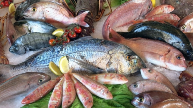 Pesce 2 volte a settimana o pi&ugrave; contro i sintomi dell'artrite reumatoide - foto: mangiarebuono