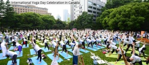International Yoga Day : International Yoga Festival 2017 - indianyogaassociation.com