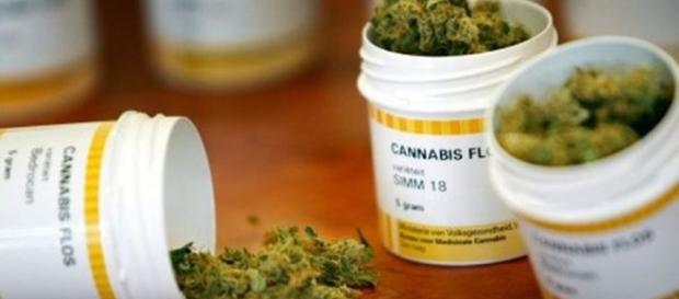Desde hoy es legal el uso medicinal y científico de la marihuana ... - regeneracion.mx Desde hoy es legal el uso medicinal y científico de la marihuana ... - regeneracion.mx