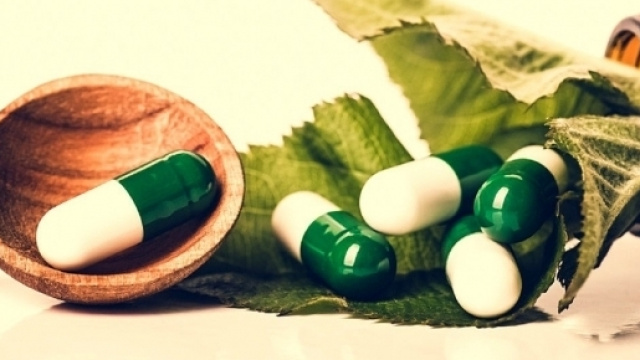 Une pilule contraceptive végétale pour les femmes... et pour les hommes