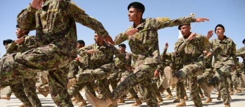 A Dumb Decision': U.S. Said to Waste $28 Million on Afghan Army ... - nytimes.com