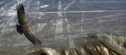20 Facts About The Nazca Lines - ancient-code.com