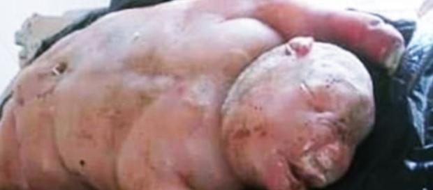 Animal chamado de 'demoníaco' assusta moradores - Google Animal chamado de 'demoníaco' assusta moradores - Google