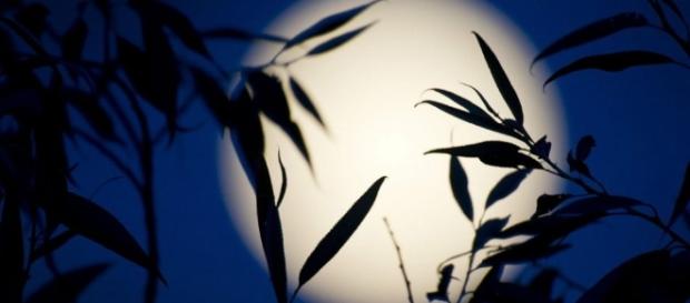 Il 9 luglio l'apice della Luna dell'Opulenza Il 9 luglio l'apice della Luna dell'Opulenza
