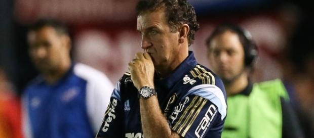 Técnico do Palmeiras não poderá contar com jogador Técnico do Palmeiras não poderá contar com jogador