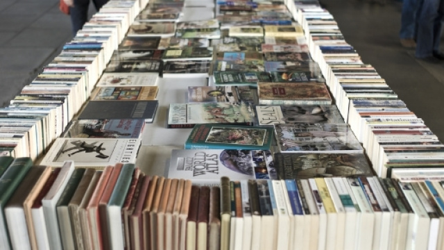 Il futuro dei libri: beni comuni nel mondo digitale | massimobray.it - massimobray.it