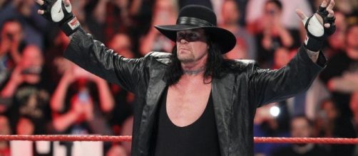 The Undertaker tipped to return for one final match at Survivor ... - thesun.co.uk