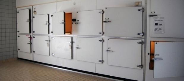 Photo morgue via Wikimedia by P.J.L Laurens / CC BY-SA 3.0 Photo morgue via Wikimedia by P.J.L Laurens / CC BY-SA 3.0